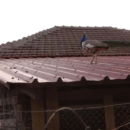 Casa De Pozar Likostomon