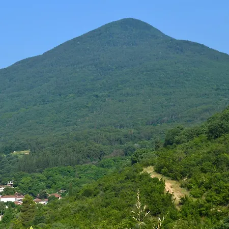 Casa De Pozar Prázdninový dům
