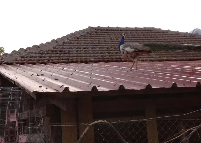 Casa De Pozar Likostomon