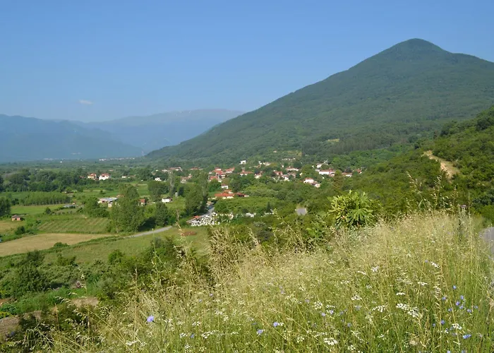 Casa De Pozar Likostomon