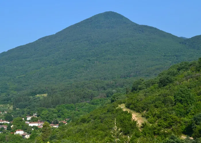 Casa De Pozar Casa de Férias